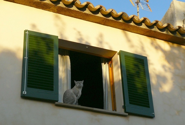 Exterior shutters in Mediterranean home.